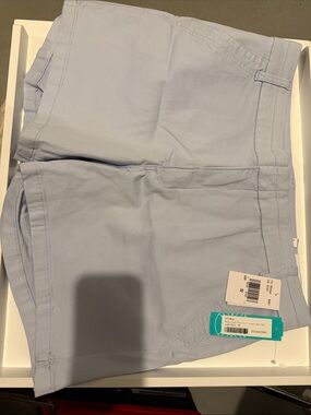 STS Blue Light Blue Women's Shorts